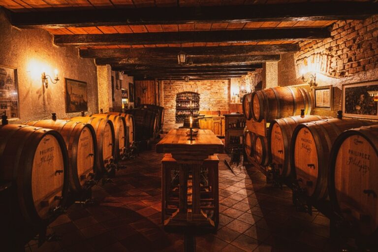 Afterwork Networking Samobor – od lokalnih priča do vrhunskih doživljaja